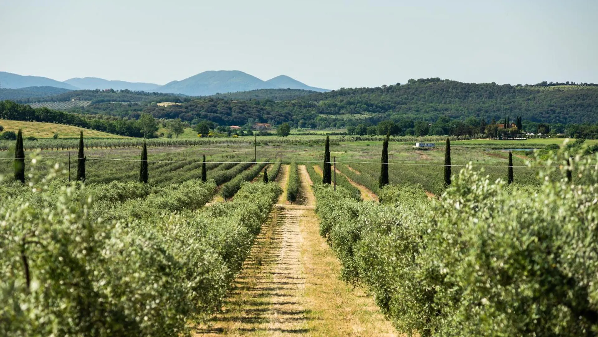 Tenuta Il Cicalino Massa Marittima 0*,
